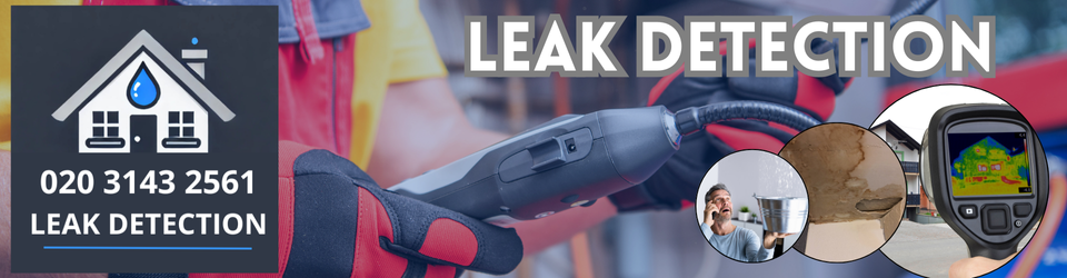 Soho Leak Detection