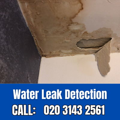 Expert Water Leak Detection Services in Soho | Soho Leak Detection